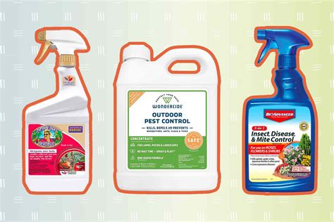 The 8 Best Insecticides Of 2023