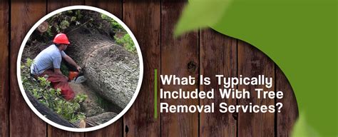 What is the average charge of tree removal? Cost of Tree Removal | Tree Removal Costs | What's the Cost?