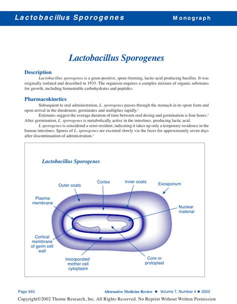 Lactobacillus Sporogenes Probiotic Overview