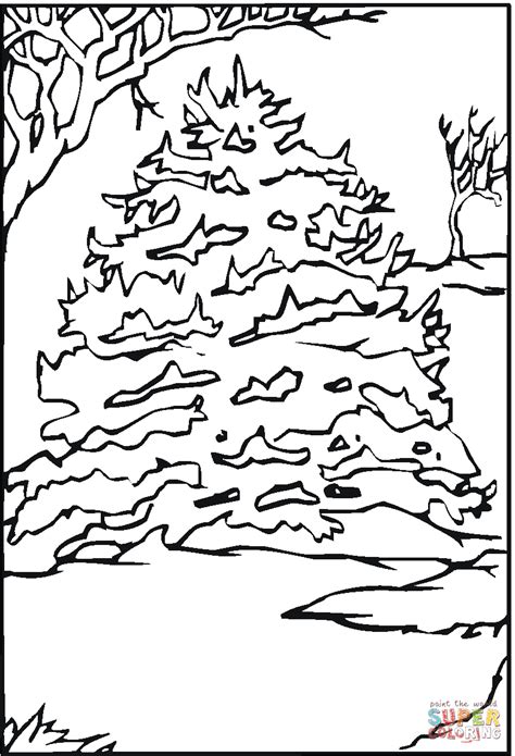 Black and white pine tree outline sketch coloring page. Pine Tree in the snow coloring page | Free Printable ...