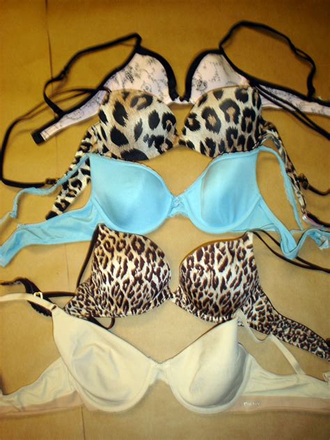 Police Want Help Identifying Owners Of Stolen Underwear Colorado Daily