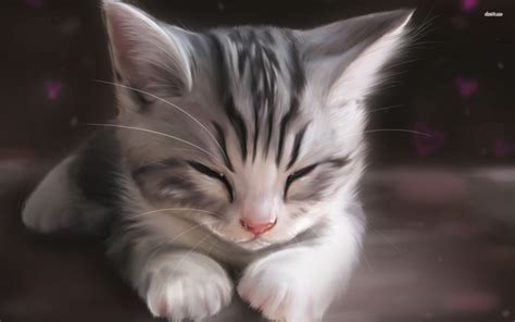 Anime Cat Painting Cute Wallpaper 1920x1200 683499 Wallpaperup