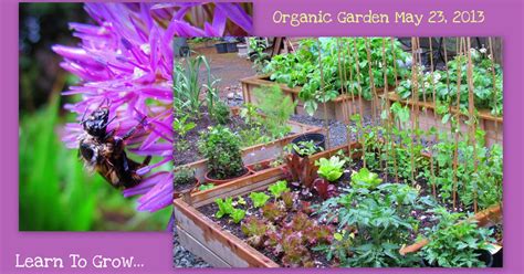 Learn To Grow Organic Garden Update By Learn To Grow