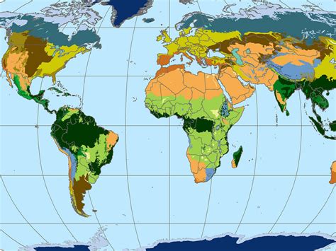 World Biome Map Coloring Worksheet