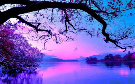 Free Download Lavender Mountains Nature Purple Reflection Sky Tree
