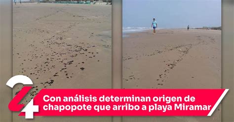 Con Análisis Determinan Origen De Chapopote Que Arribo A Playa Miramar Noticias24siete