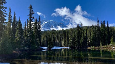 Lake And Forest 4k Wallpaper