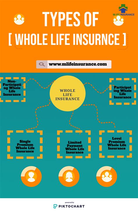 Exploring The Best Whole Life Insurance Companies In 2023 Dekoronline