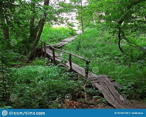 Wooden Bridge Across The Swamp In The Forest Old Wooden Bridge Over