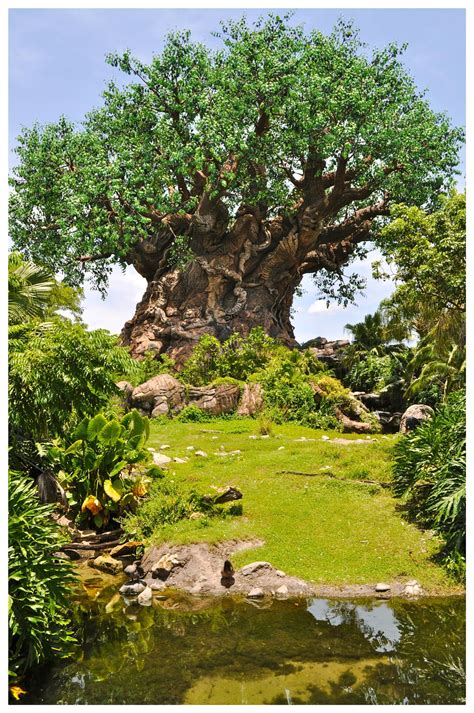 Tree Of Life Animal Kingdom Walt Disney World Disney World Tree