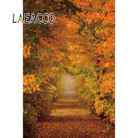Laeacco Tree Forest Backgrounds Autumn Maples Fallen Leaves Pathway