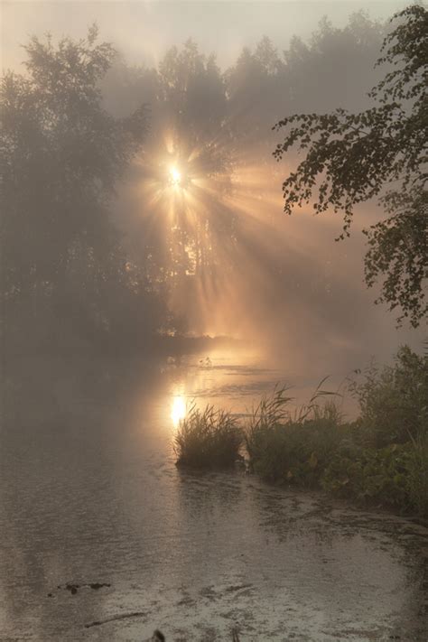 Sun Shines Through The Fog Landscape Photos