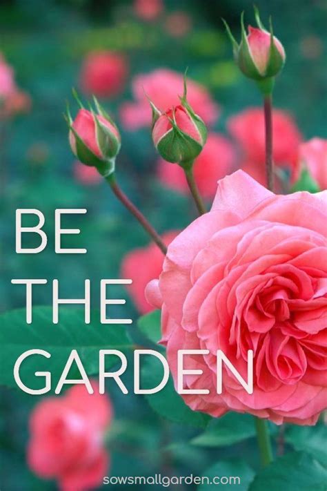 Best Garden Quotes 60 Quotes Sow Small Garden Garden Quotes