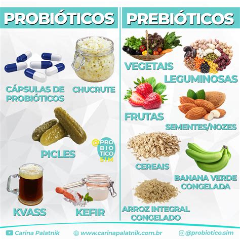 Para Manter Um Intestino Sempre Saudável Consumir Probióticos E