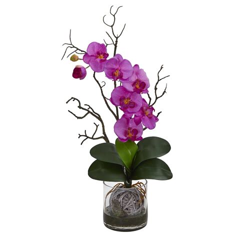 Phalaenopsis Orchid Artificial Arrangement In Vase 1600 Nearly Natural