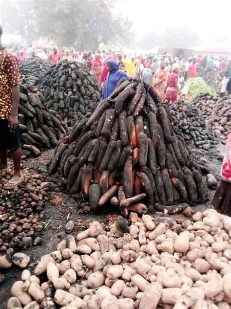 6,206 likes · 873 talking about this. Plateau State: So Sad! Farmers And Traders Count Losses As ...