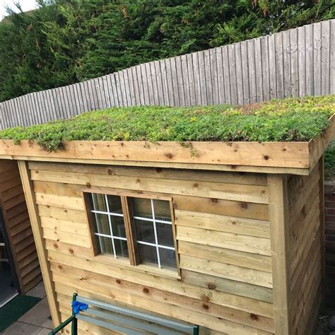 Gap between the edge of the frame and the shed roof to allow guide shows how to add a green roof. Green Roofs for Garden Buildings | Turf Online | Garden ...