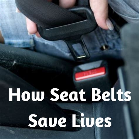 seat belt safety why everyone should buckle up axleaddict