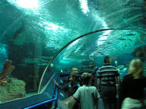 Blue Planet Aquarium Chester