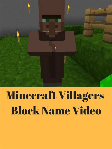 Roblox Minecraft Villager