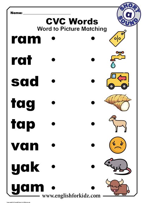 Cvc Words Worksheet For Kindergarten