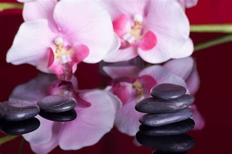 10 Kostenlose Hot Stone Massage Und Massage Bilder Pixabay