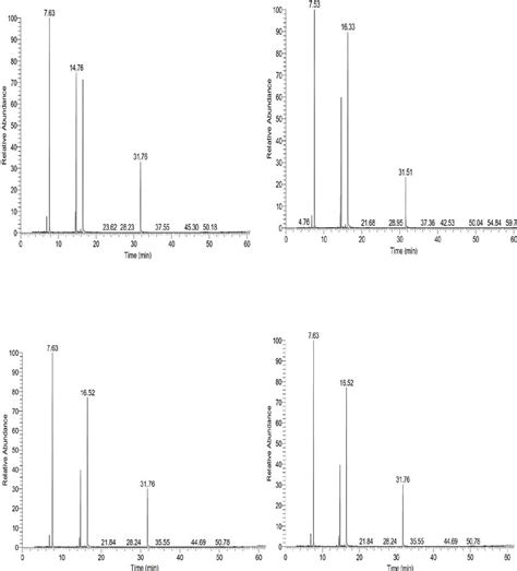 GC MS Chromatogram Of Essential Oil Of Dill Fruits For Balady Cultivar