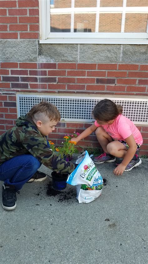 Andover Central School District Youth Gardening Project Allegany