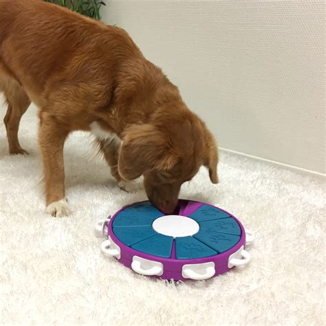 Dog Twister Nina Ottosson Treat Puzzle Games For Dogs And Cats