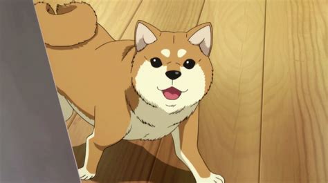 1 Minute Into A New Anime And Im Not Disappointed Supershibe