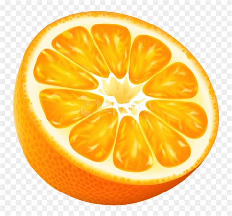 Orange Crush Logo Vector At Collection Of Orange