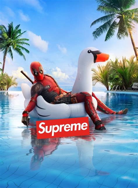 Funny Supreme Wallpapers Walltwatchesco