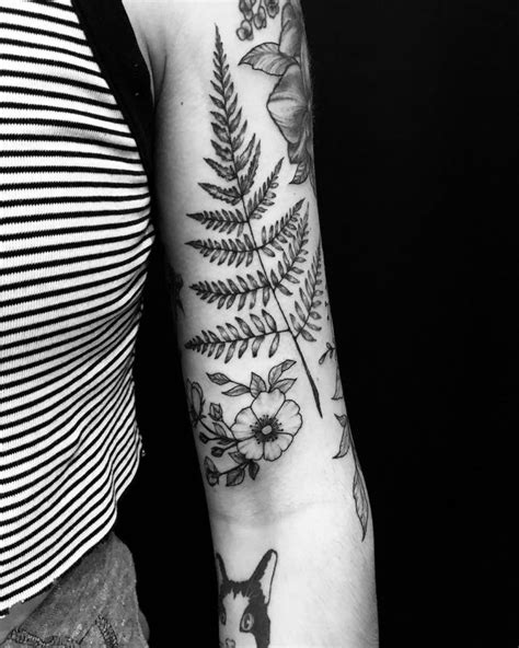 30 Pretty Fern Tattoos Improve Your Temperament Style Vp Page 2