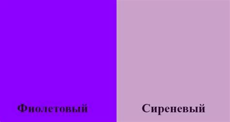 Сиреневый и фиолетовый цвета