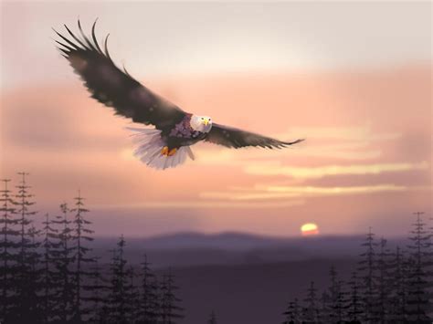 Pin By Lucille Kerner On Eagles Eagle Painting Beautiful Birds Bald