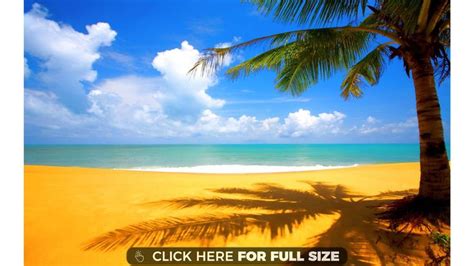 Yellow Beach Beach Wallpaper Beach Background Beach Pictures