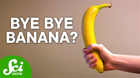 The Terrifying Truth About Bananas Youtube