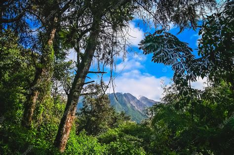 Premium Photo | Majestic gunung sibayak volcano