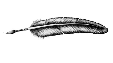 Free Quill Download Free Quill Png Images Free Cliparts On Clipart