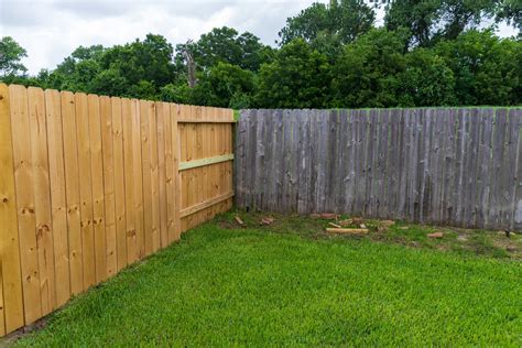 Mans Response To Fence Issue With Neighbor Divides Opinion Not Winning