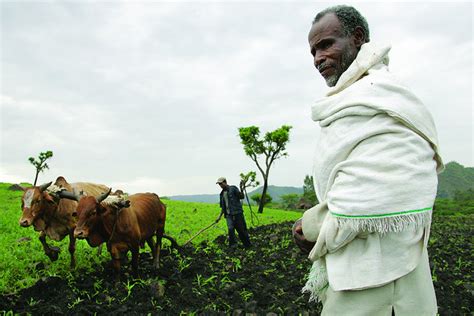 What is the importance of agriculture and farming for a country? Ethiopia: A "Land Grab" Or a Path to Food Security ...