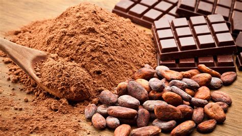It is composed primarily of fat molecules. El Cacao: Amargo Precursor del Exquisito Chocolate ...