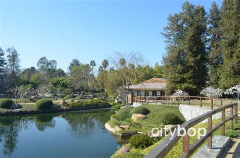 10 Best Attractions At Japanese Garden Los Angeles Citybop