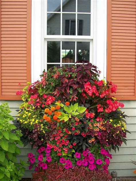 Whether you&#39;re an urban dweller with limited garden. Awesome Plant Combinations For Window Boxes 49 | Garden ...