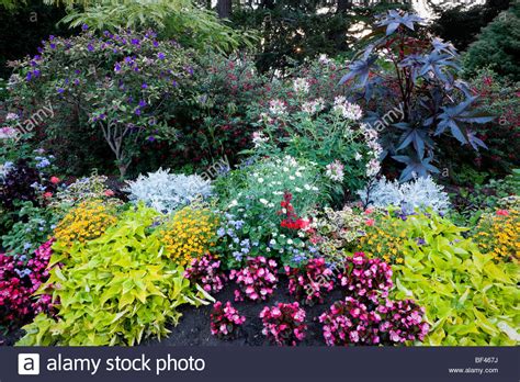 Celebrate and remember the lives we have lost in severna park, maryland. Beacon Hill Park Flower Garden, Victoria, B.C Stock Photo ...