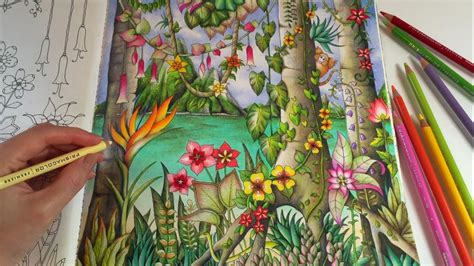 Magical Jungle Tropical Paradise Part 2 Adult Coloring Book By