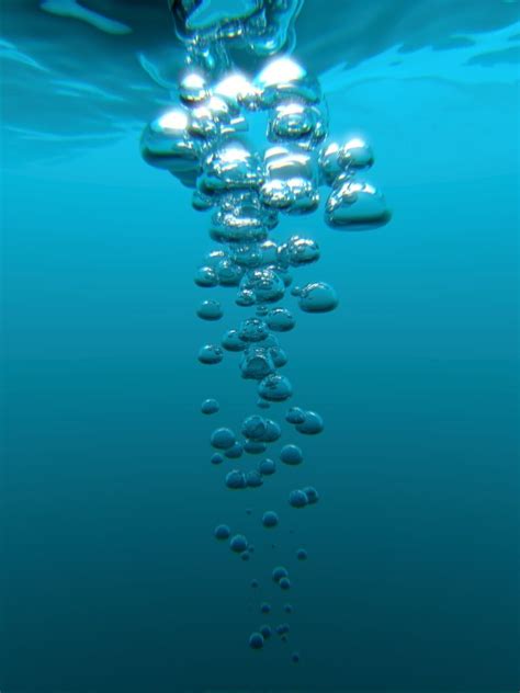 I used a white paint pen to trace various size circles to imitate the behavior of bubbles floating in the air in random locations. photos underwater bubble | Download 'underwater-air ...