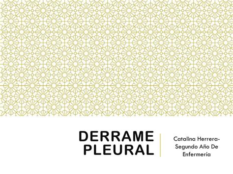 Derrame Pleural Catalina Herrera Udocz