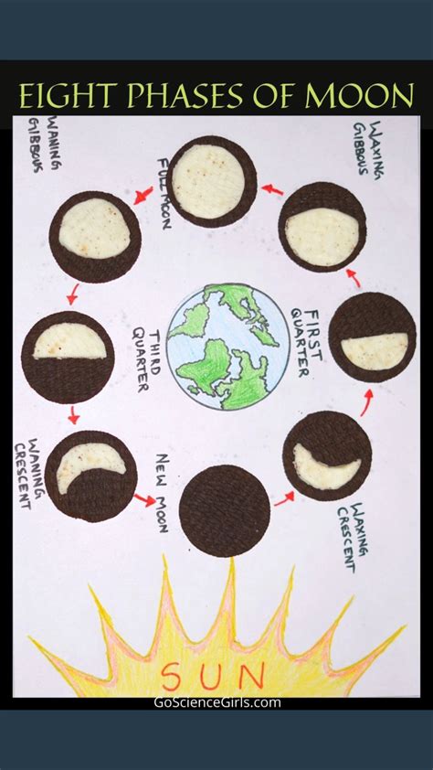 Explore Phases Of The Moon Using Oreo Cookies Worksheets Lesson Plans