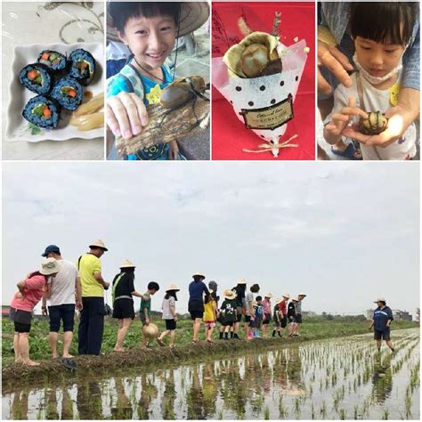84,146 likes · 6 talking about this. 台南佳里漳洲【翻滾吧!小農夫】水稻田工作、可愛動物、香草甜粽、木玫瑰DIY體驗營活動日期：2019-04-21 ...